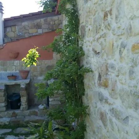 Apartamento Rustico Zagara Buseto Palizzolo Exterior foto